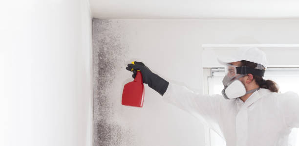 Trusted Midway, AR Mold Remediation Experts